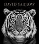David Yarrow Photography, Americas Africa Antarctica Arctic Asia Europe 9780847864775 David Yarrow