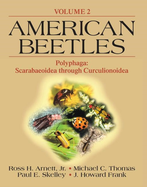 Book cover of: American Beetles, Volume II
