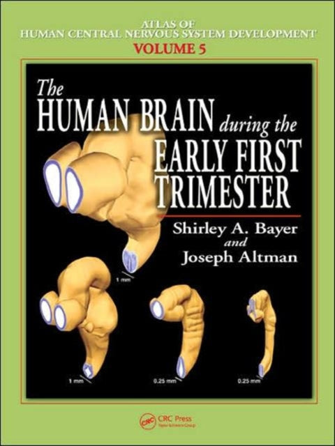 Book cover of: Human Brain During the Early First Trimester. By: Shirley A. Bayer
