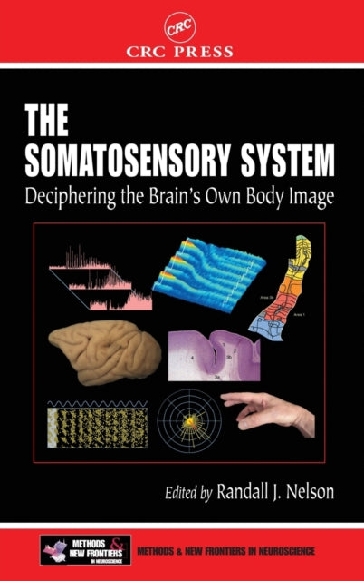 Book cover of: Somatosensory System. By: Randall J. Nelson