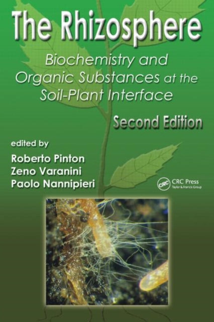 Book cover of: Rhizosphere