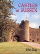 Book cover of: Castles In Sussex. By: John Guy