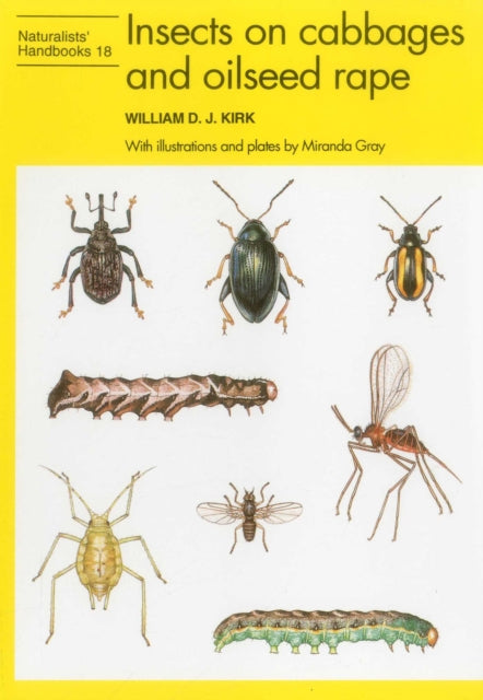 Book cover of: Insects on cabbages and oilseed rape. By: William D.J. Kirk