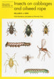 Book cover of: Insects on cabbages and oilseed rape. By: William D.J. Kirk