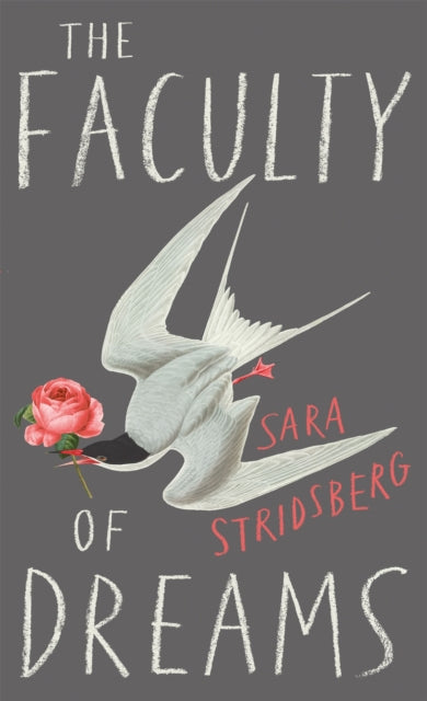 Book cover of: Faculty of Dreams. By: Sara Stridsberg