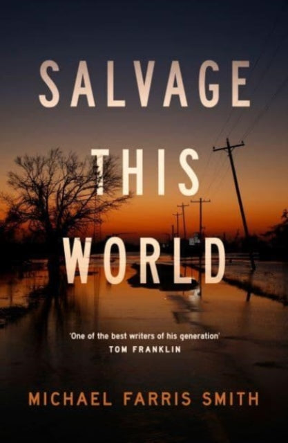 Book cover of: Salvage This World. By: Michael Farris Smith