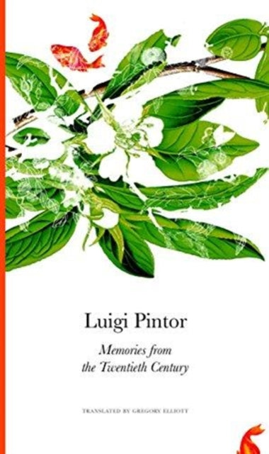 Book cover of: Memories from the Twentieth Century. By: Luigi Pintor
