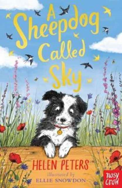 Sheepdog Called Sky 9780857639110 Helen Peters