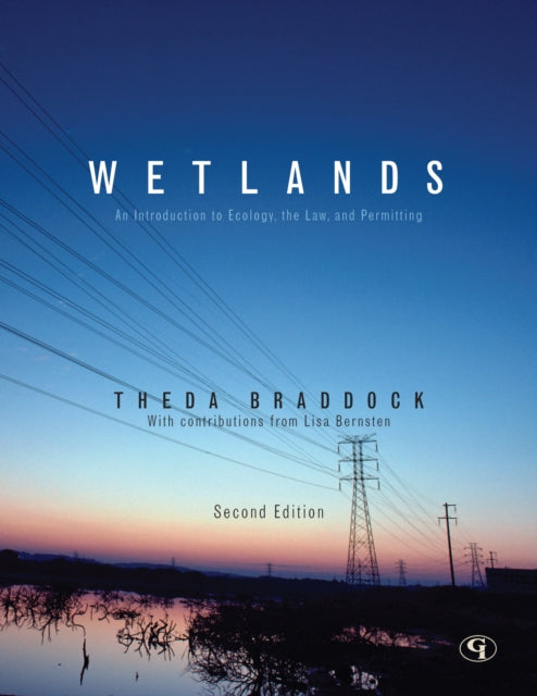 Book cover of: Wetlands. By: Lisa Bernsten, Theda Braddock Fowler