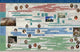 Book cover of: Natural Law & Enlightenment Classics Series Timeline Poster