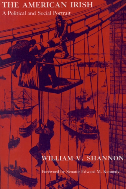 Book cover of: American Irish. By: William V. Shannon