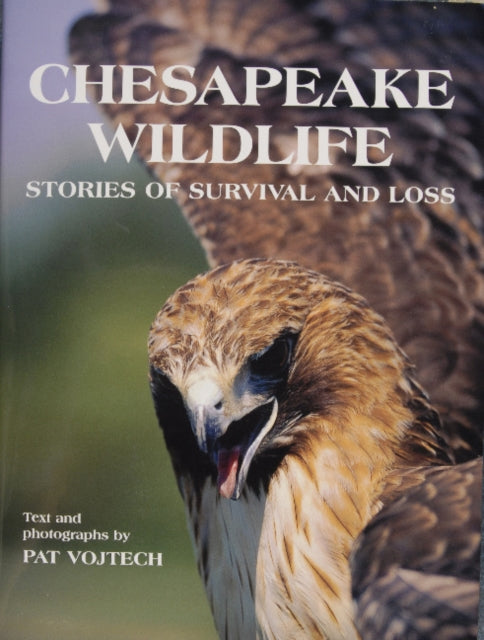 Book cover of: Chesapeake Wildlife. By: Pat Vojtech