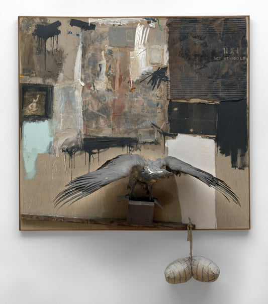 Book cover of: Rauschenberg. By: Robert Rauschenberg