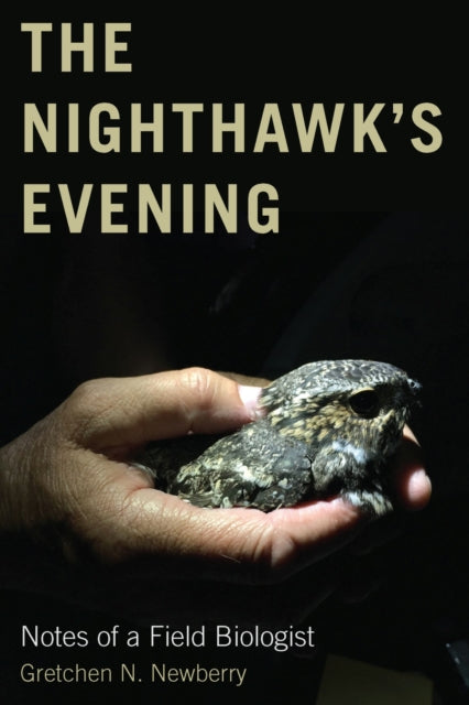 Book cover of: Nighthawk's Evening. By: Gretchen N. Newberry