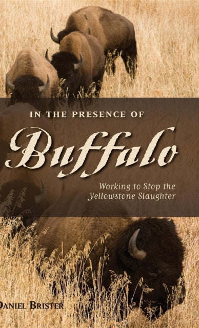 Book cover of: In the Presence of Buffalo. By: Daniel Brister
