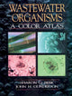 Book cover of: Wastewater Organisms A Color Atlas