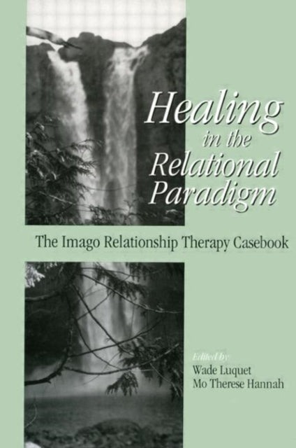 Book cover of: Healing in the Relational Paradigm