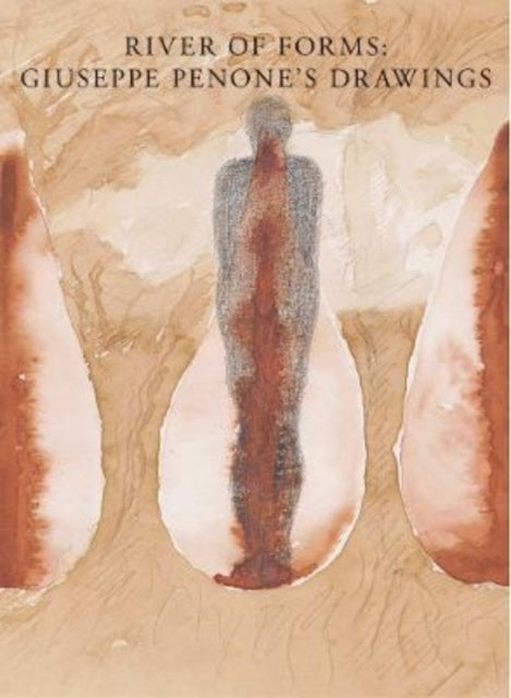 Book cover of: River of Forms. By: Carlos Basualdo