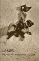 Book cover of: Lamps from the Athenian Agora. By: Judity Perlzweig