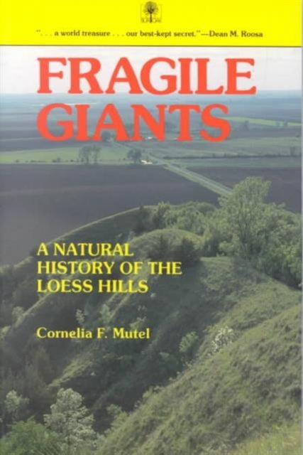 Book cover of: Fragile Giants