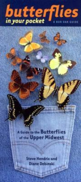 Book cover of: Butterflies in Your Pocket. By: Steve & Diane Hendrix & Debinski