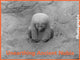 Book cover of: Unearthing Ancient Nubia. By: Lawrence Berman