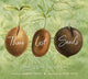 Book cover of: Three Lost Seeds. By: Stephie Morton