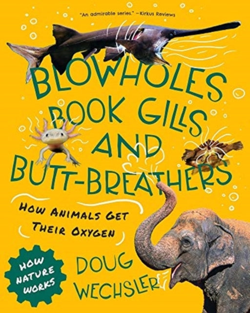 Book cover of: Blowholes, Book Gills, and Butt-Breathers. By: Doug Wechsler