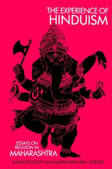 Book cover of: Experience of Hinduism. By: Maxine Bernsten