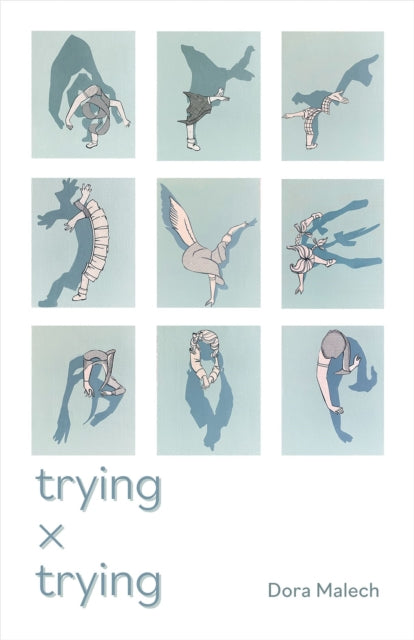 Book cover of: Trying x Trying
