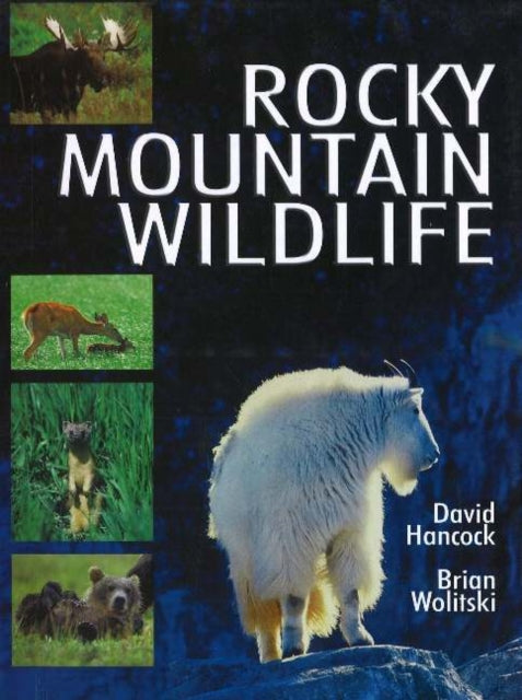 Book cover of: Rocky Mountain Wildlife. By: David Hancock