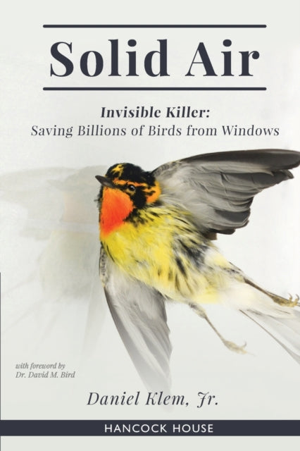 Book cover of: Solid Air. By: Klem, Daniel, Jr.