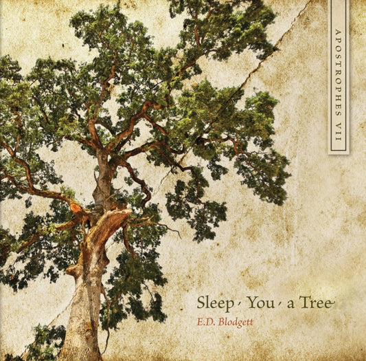 Book cover of: Apostrophes VII
