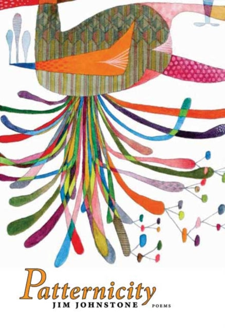 Book cover of: Patternicity. By: Jim Johnstone