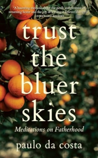 Book cover of: Trust the Bluer Skies. By: paulo da costa