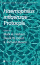 Book cover of: Haemophilus influenzae Protocols