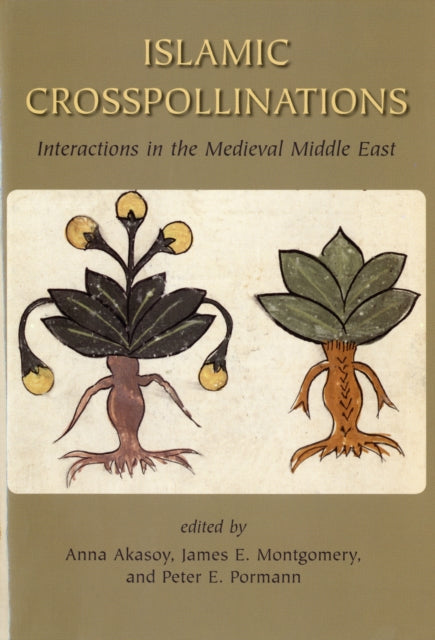 Book cover of: Islamic Crosspollinations