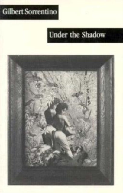 Book cover of: Under the Shadow. By: Gilbert Sorrentino