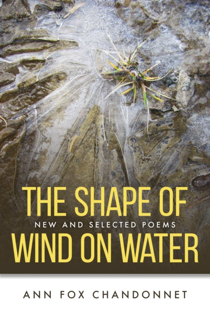 Book cover of: Shape of Wind on Water