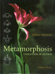Book cover of: Metamorphosis. By: Andreas Suchantke