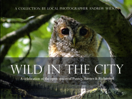 Book cover of: Wild in the City. By: Andrew Wilson