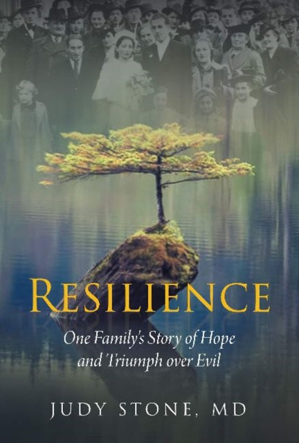 Book cover of: Resilience. By: Judy Stone