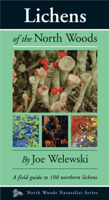 Book cover of: Lichens of the North Woods. By: Joe Walewski