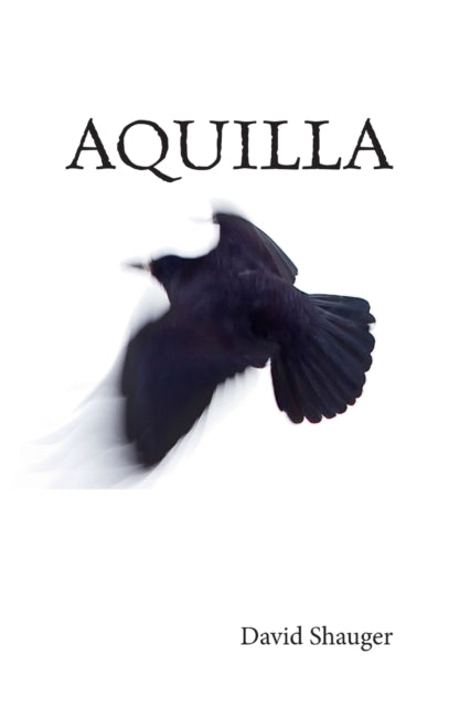 Book cover of: Aquilla. By: David Shauger