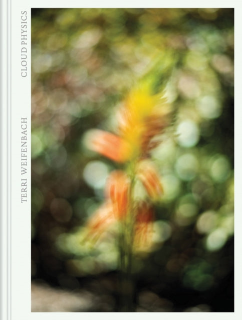 Book cover of: Terri Weifenbach: Cloud Physics. By: Terri Weifenbach