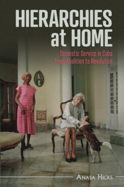 Book cover of: Hierarchies at Home. By: Anasa Hicks