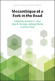 Book cover of: Mozambique at a Fork in the Road. By: António S. Cruz