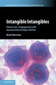 Book cover of: Intangible Intangibles