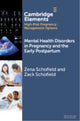 Book cover of: Mental Health Disorders in Pregnancy and the Early Postpartum