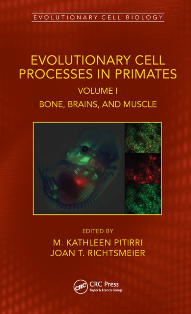 Book cover of: Evolutionary Cell Processes in Primates. By: M. Kathleen Pitirri